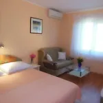 Kamelija