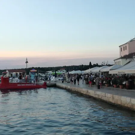 Kamelija * Fažana