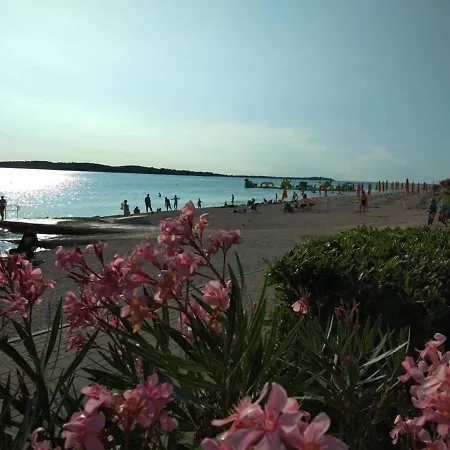 Appartement Kamelija *