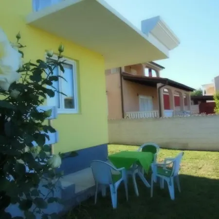 Kamelija *