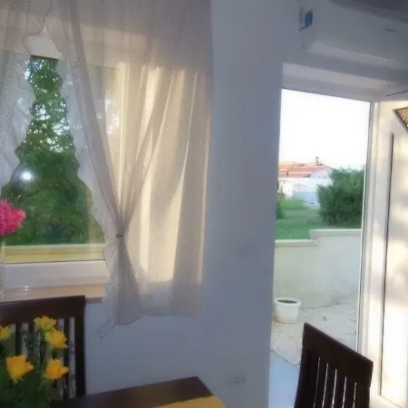 Kamelija * Fažana