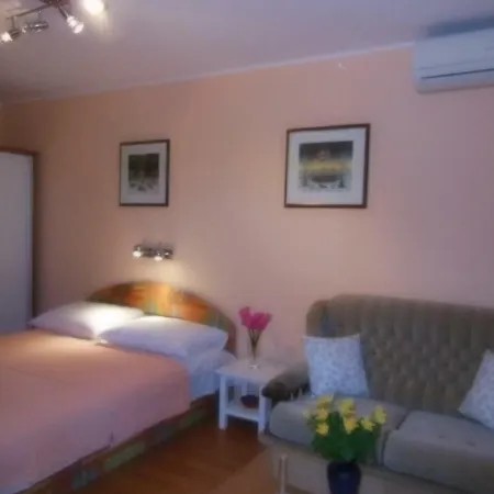 Kamelija * Fažana