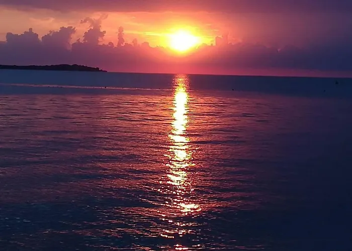 아파트 Kamelija *