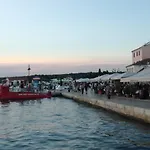 Kamelija * Fažana