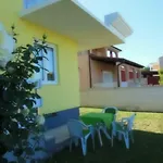 Kamelija *