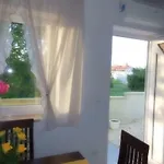 Kamelija * Fažana