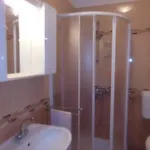 Kamelija Apartamento