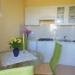 Kamelija Apartamento