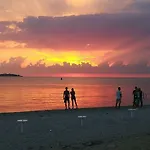 Kamelija Apartamento
