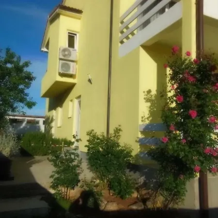 Kamelija *