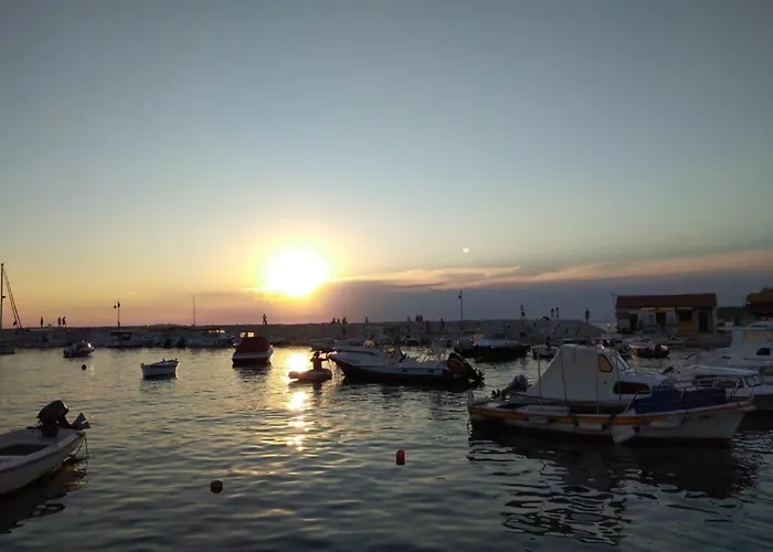 Διαμέρισμα Kamelija Fažana