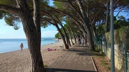 Kamelija Διαμέρισμα *