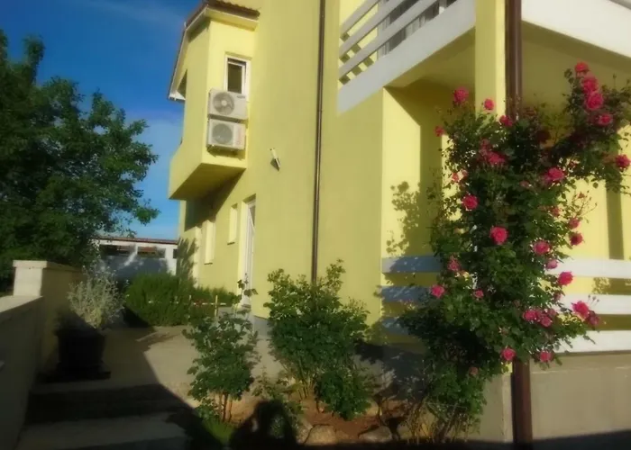 Kamelija *