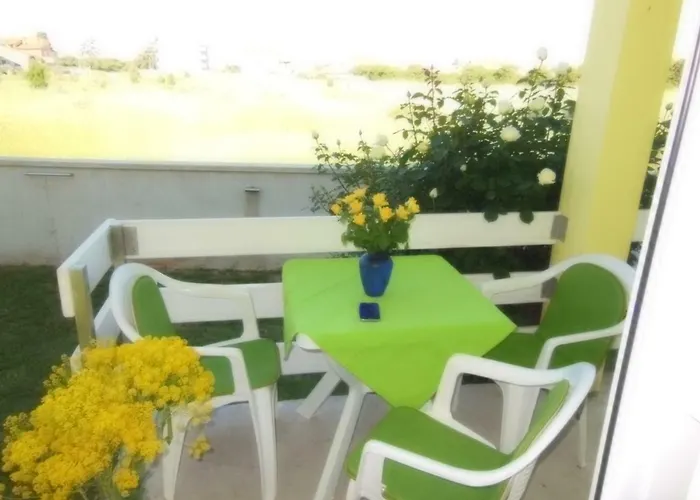 Kamelija *