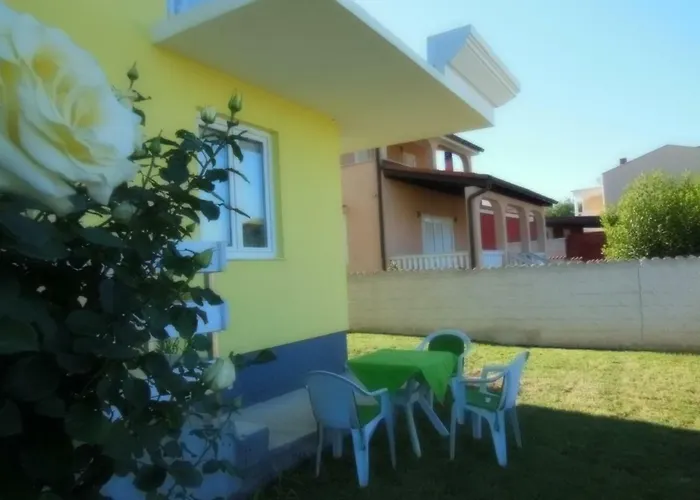 Kamelija *