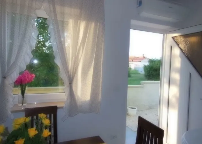 Kamelija * Fažana