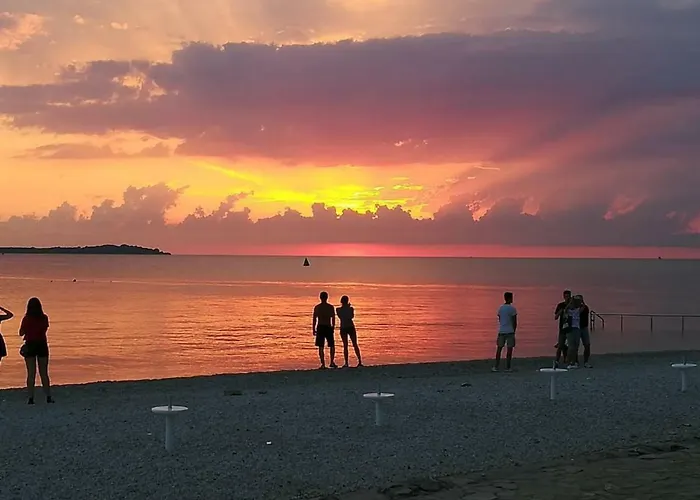 Kamelija Διαμέρισμα